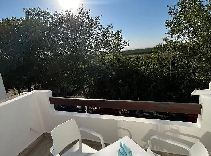 Διαμέρισμα Nella, 300 M From The Swimming Pool Τορεβιέχα